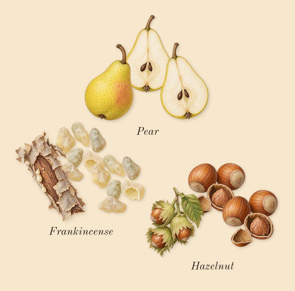 Guidance, top notes: Pear, Frankincense, Hazelnut