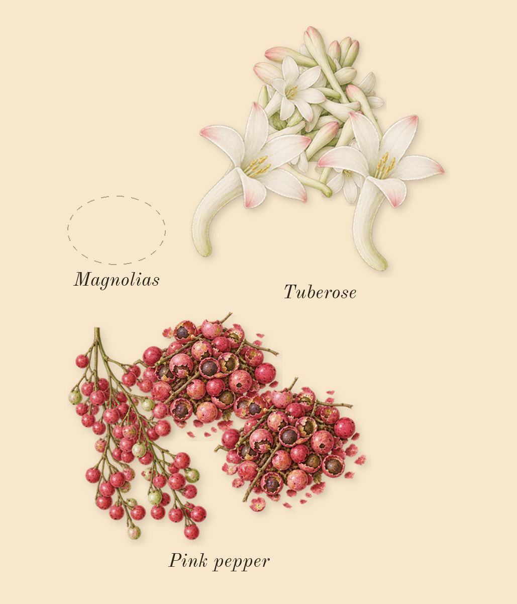 Halloween, heart: Magnolias, Tuberose, Pink pepper