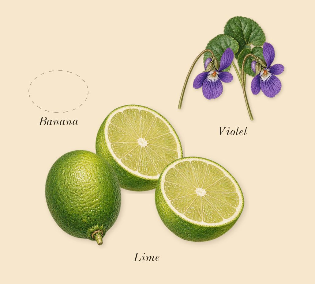 Halloween, top notes: Violet, Lime, Banana