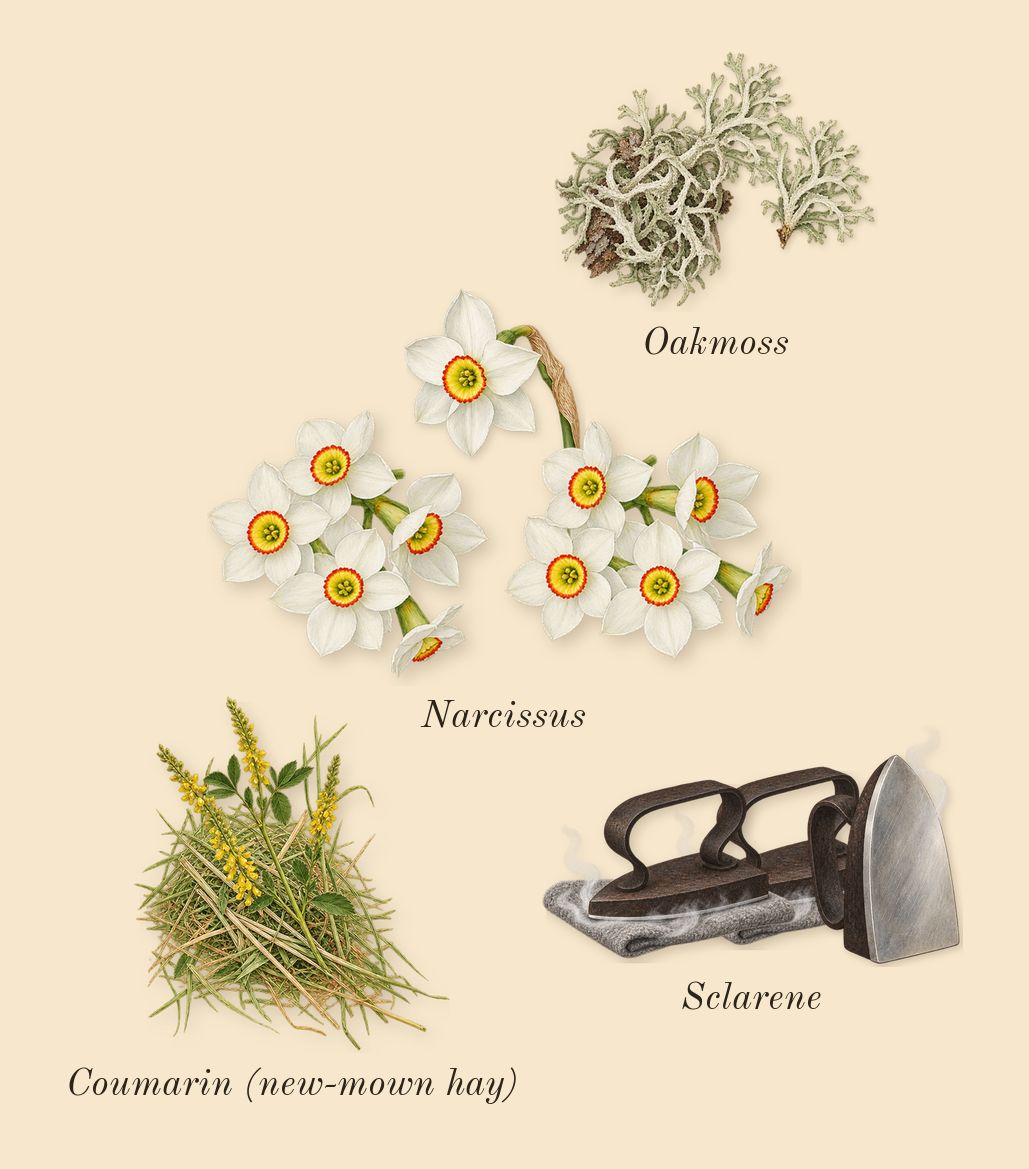 H24, dry-down: Oakmoss, Sclarene, Narcissus, Coumarin (new-mown hay)