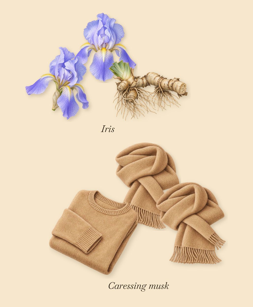 Musc Pallida, what stays: Iris, Caressing musk