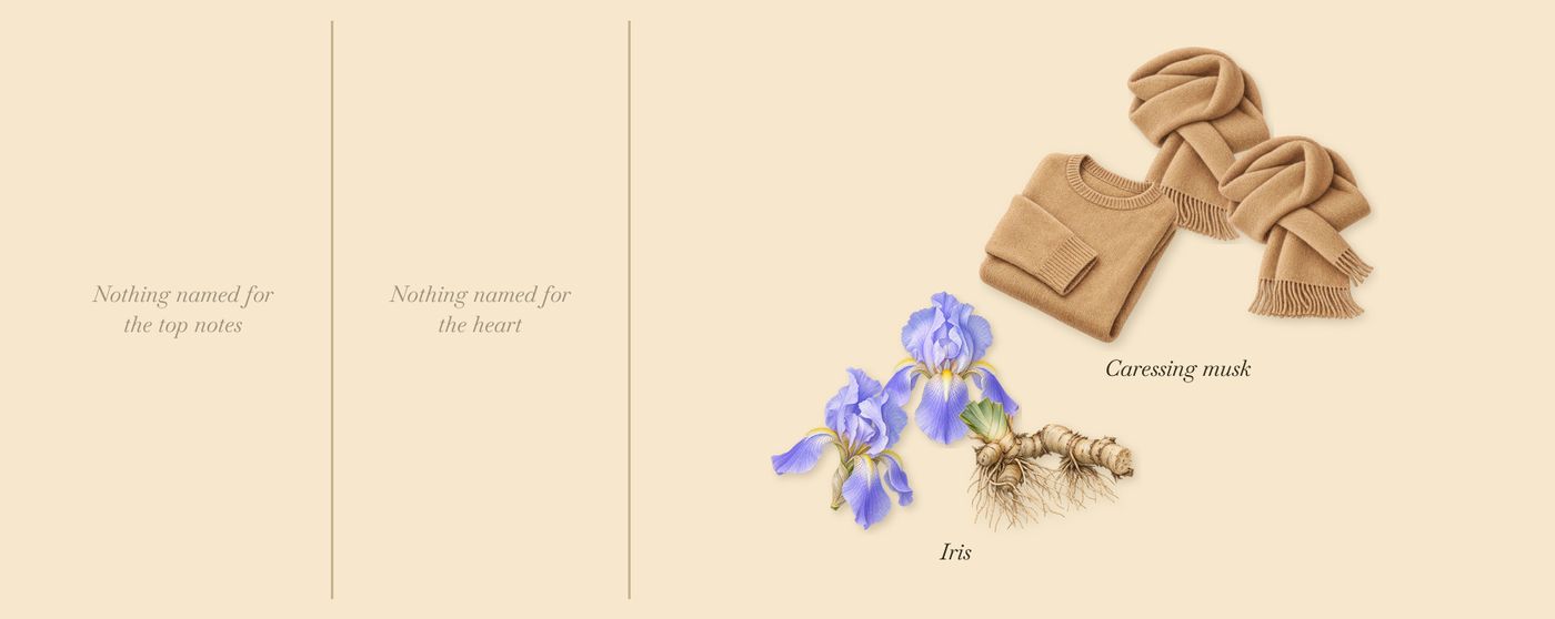 Musc Pallida’s scent picture, a draft: iris, caressing musk drawn so far; dashed outlines where nothing is drawn yet