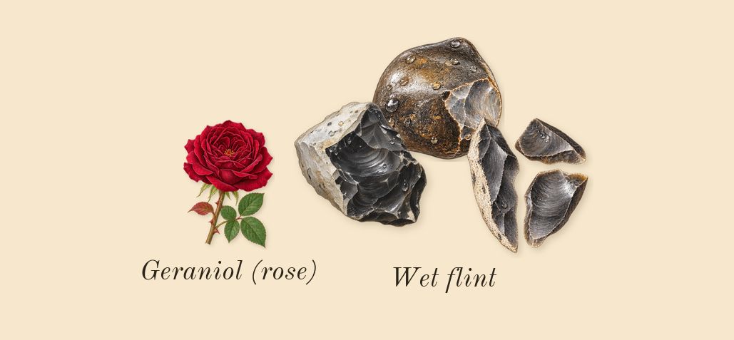Terre d'Hermès, heart: Wet flint, Geraniol (rose)