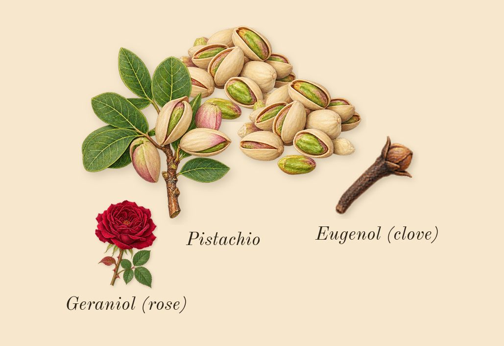 Un Jardin à Cythère, heart: Pistachio, Geraniol (rose), Eugenol (clove)