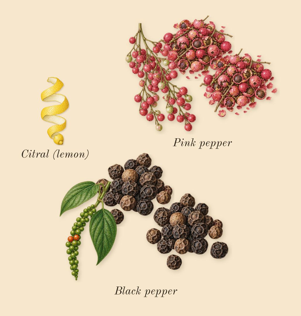Honour Man, top notes: Pink pepper, Black pepper, Citral (lemon)