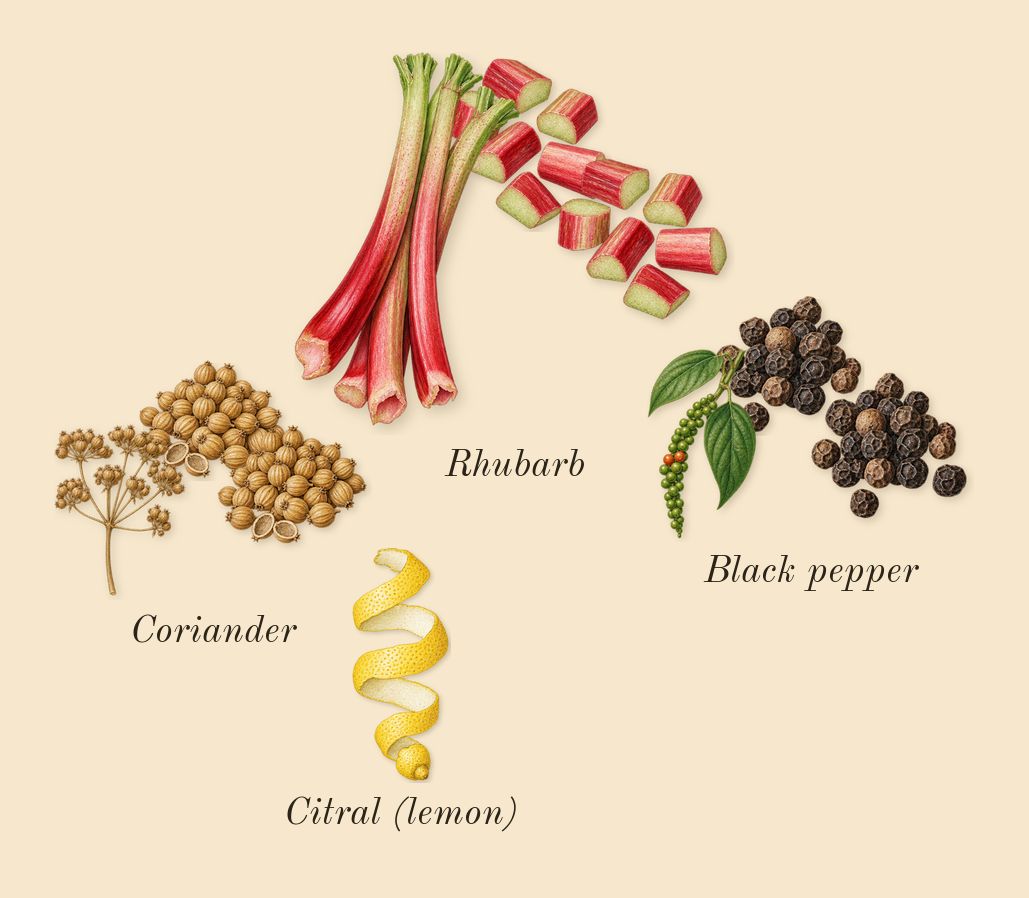 Honour Woman, top notes: Black pepper, Rhubarb, Coriander, Citral (lemon)