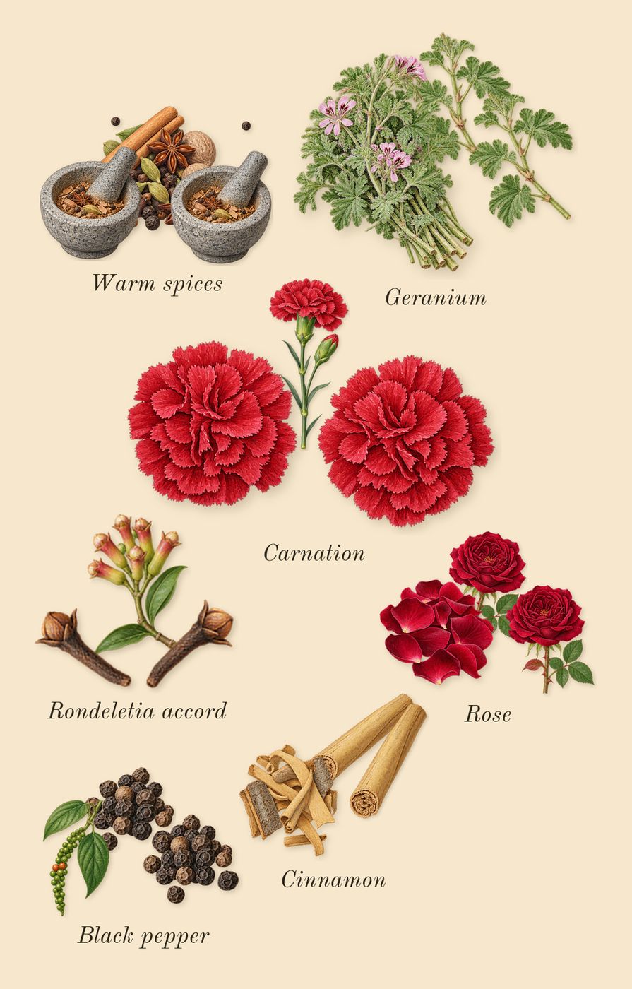 Fougère Royale, heart: Rondeletia accord, Geranium, Warm spices, Rose, Black pepper, Cinnamon, Carnation