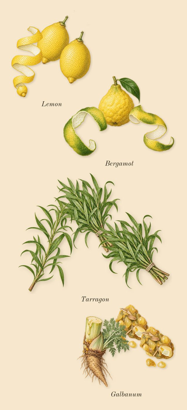 Quelques Fleurs L'Original, top notes: Bergamot, Galbanum, Tarragon, Lemon