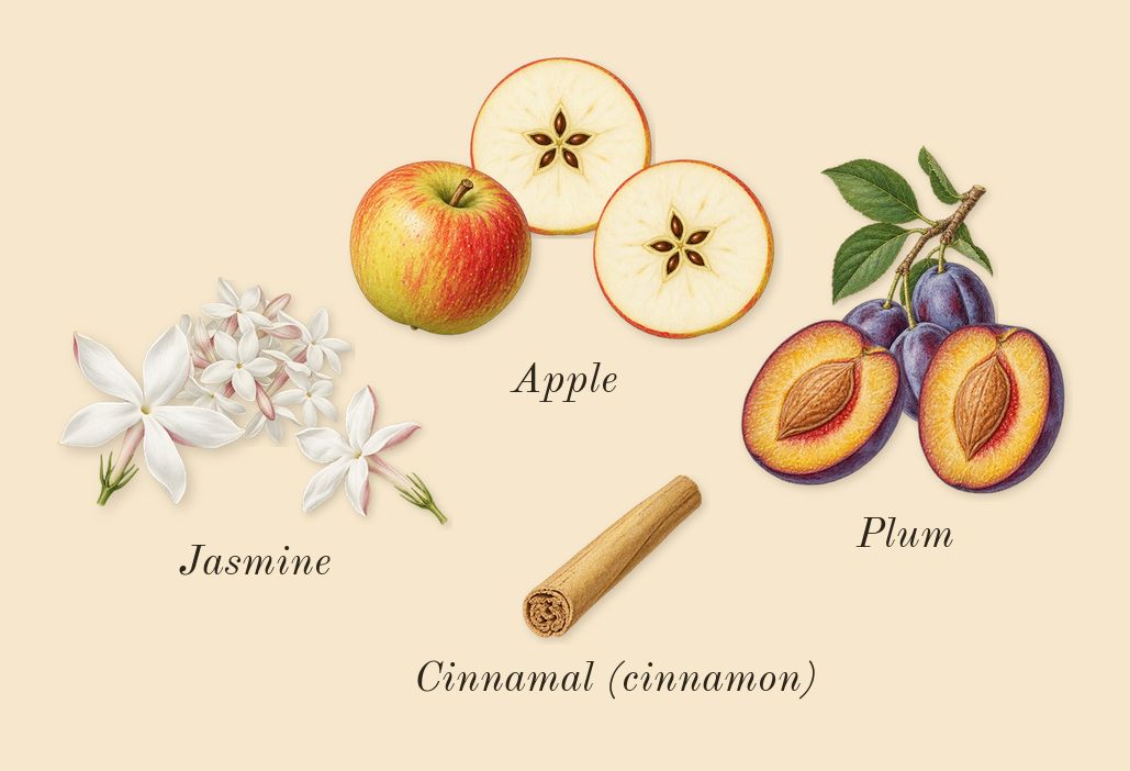 Alive, heart: Plum, Jasmine, Apple, Cinnamal (cinnamon)