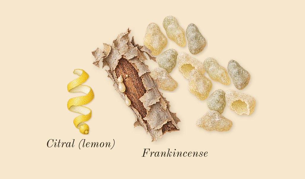 Bottled Absolu, top notes: Frankincense, Citral (lemon)