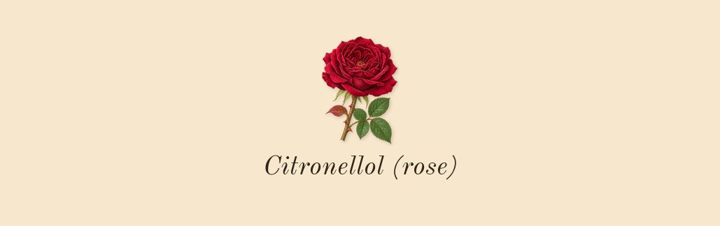 Bottled Beyond, heart: Citronellol (rose)