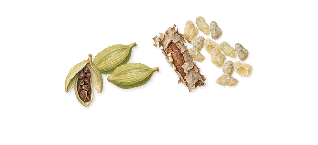 Bottled Elixir, when you spray it: Frankincense, Cardamom
