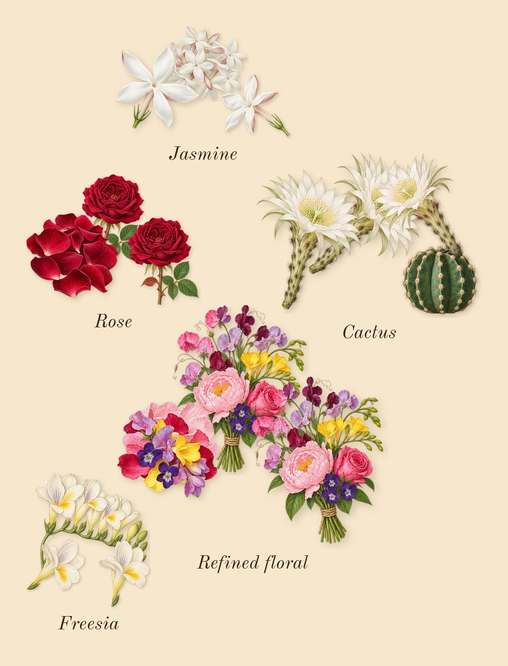 Ma Vie, heart: Cactus, Refined floral, Freesia, Jasmine, Rose