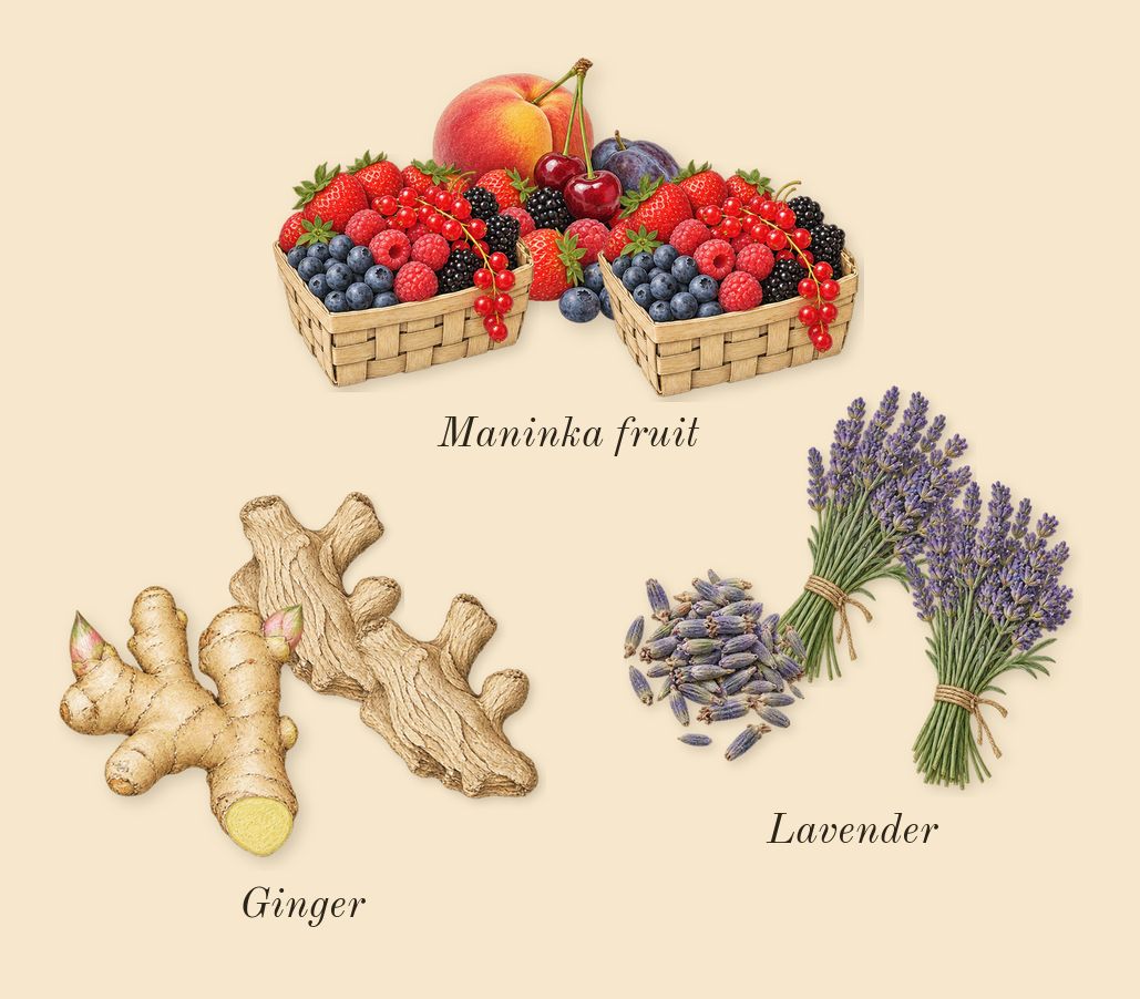 The Scent, top notes: Ginger, Maninka fruit, Lavender