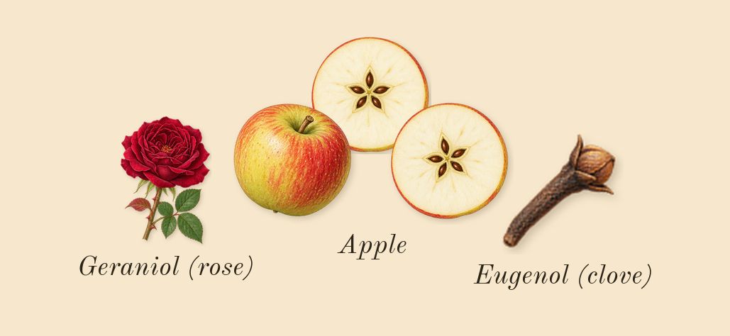 Hugo Man, heart: Apple, Geraniol (rose), Eugenol (clove)