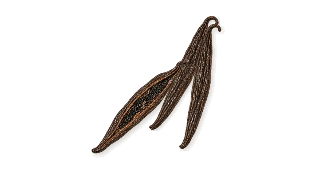 Cape Heartache, what stays: Vanilla