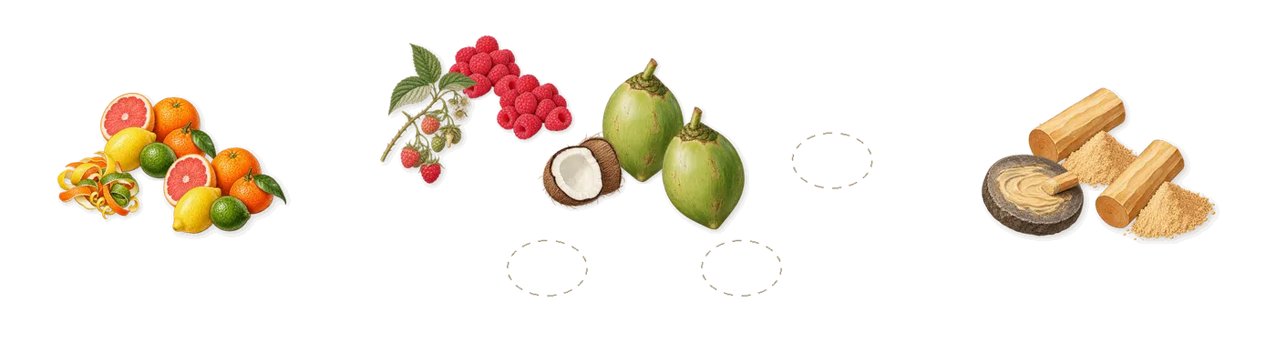 In Love With Everything’s scent picture, a draft: raspberry, citrus pulp, coconut, sandalwood drawn so far; dashed outlines where nothing is drawn yet