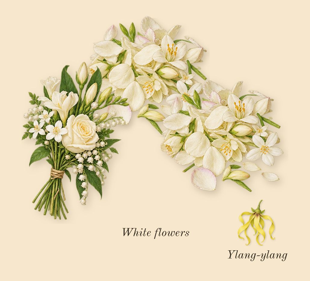 Absolute Aphrodisiac, heart: White flowers, Ylang-ylang