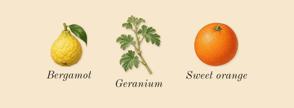 Absolute Aphrodisiac, top notes: Bergamot, Geranium, Sweet orange