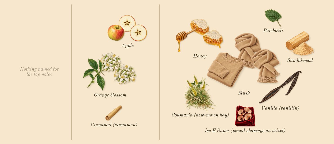 Addictive Vibration’s scent picture, a draft: apple, orange blossom, honey, vanilla (vanillin), musk, patchouli drawn so far; dashed outlines where nothing is drawn yet