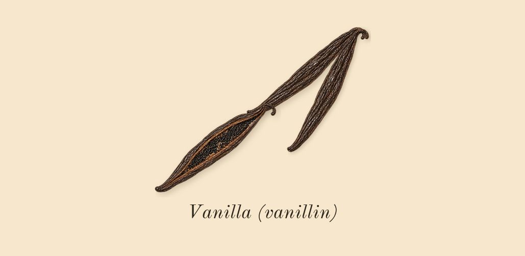Atomic Rose, dry-down: Vanilla (vanillin)