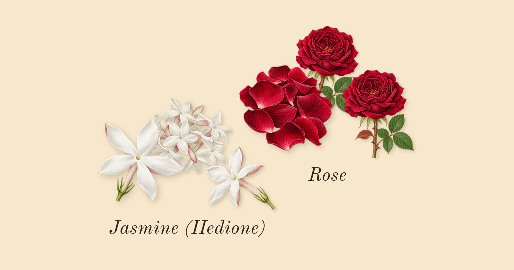 Atomic Rose, heart: Rose, Jasmine (Hedione)