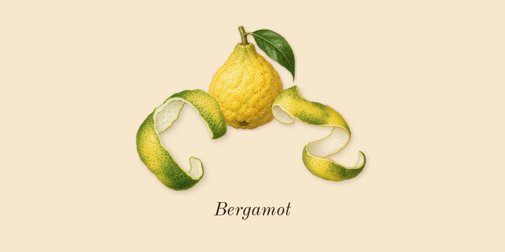 Atomic Rose, top notes: Bergamot
