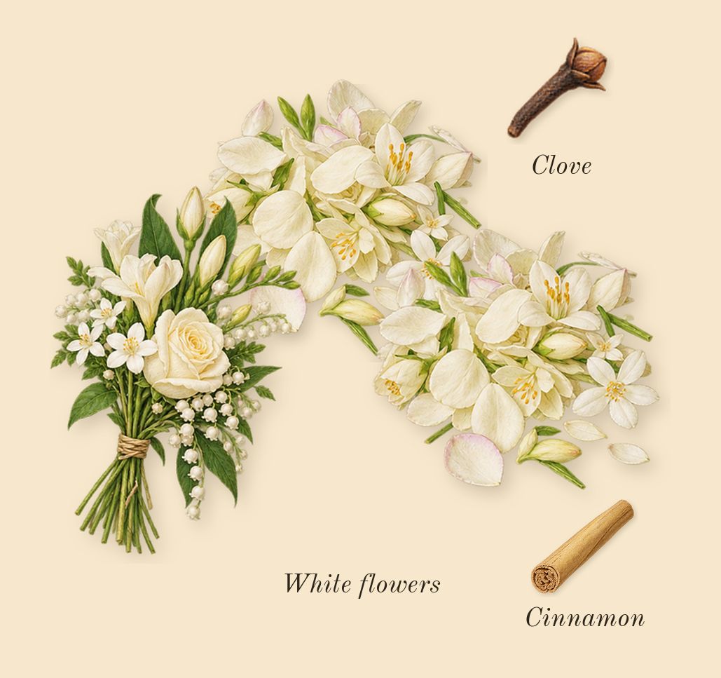 Blessed Baraka, heart: White flowers, Clove, Cinnamon