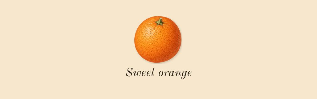 Blessed Baraka, top notes: Sweet orange