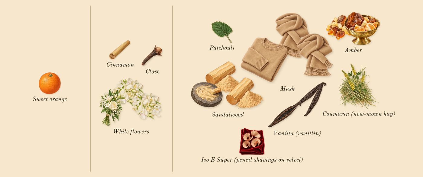 Blessed Baraka’s scent picture, a draft: white flowers, amber, sandalwood, vanilla (vanillin), musk, patchouli drawn so far; dashed outlines where nothing is drawn yet