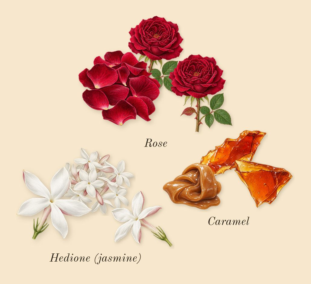 Can't Get Enough, heart: Rose, Hedione (jasmine), Caramel