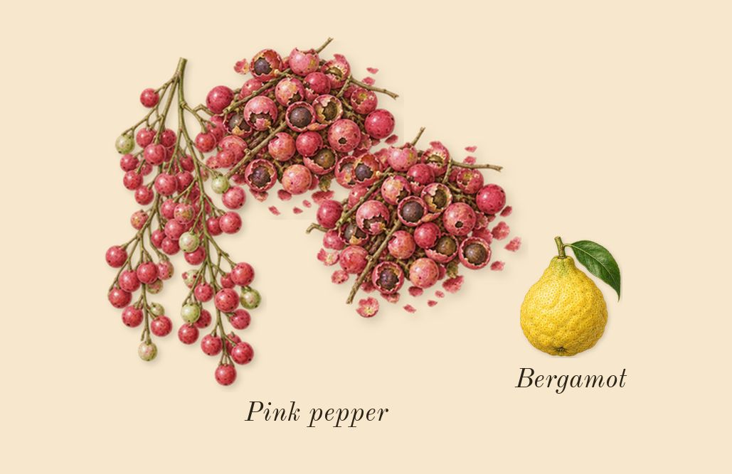 Can't Get Enough, top notes: Pink pepper, Bergamot
