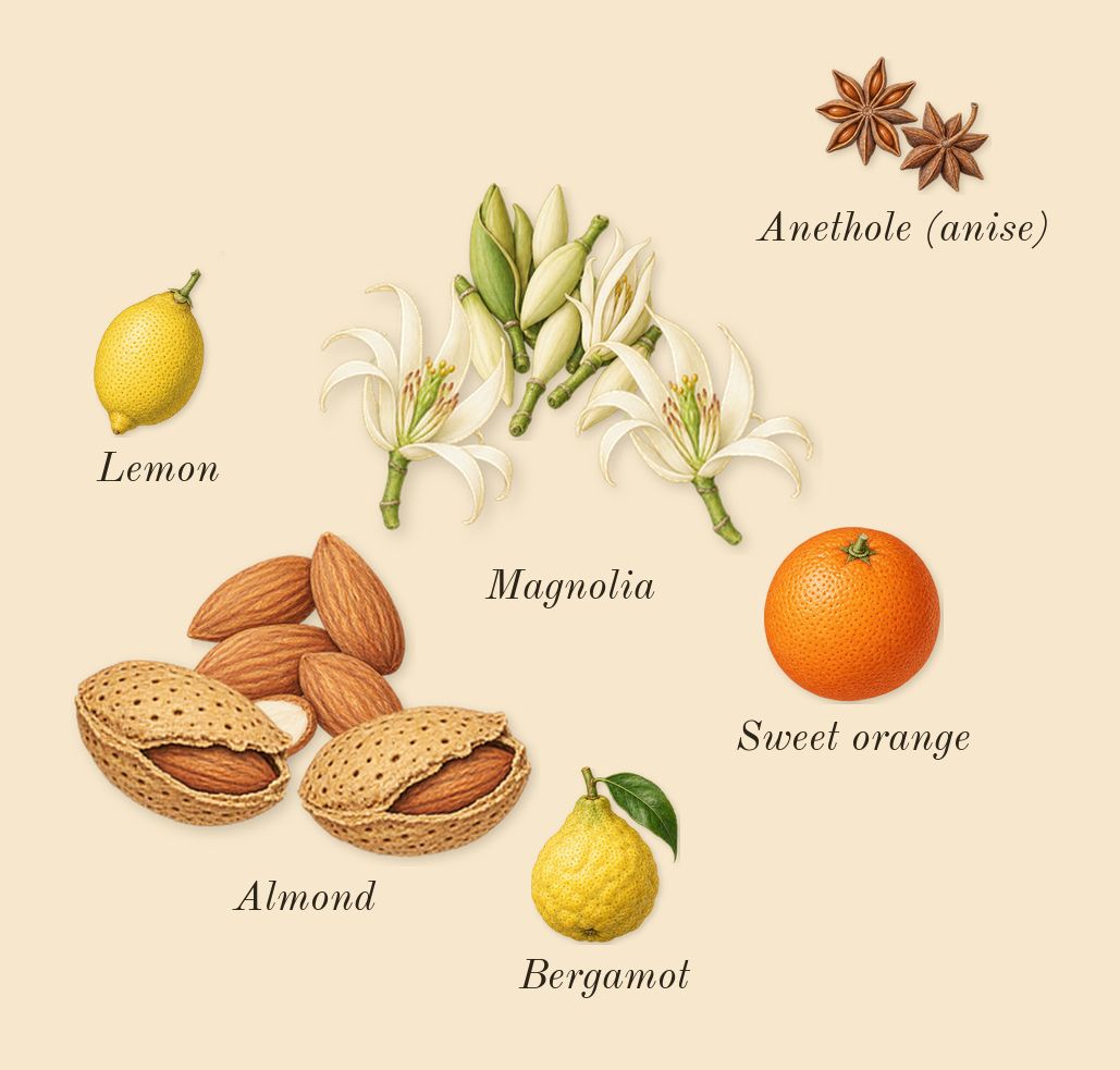 High Frequency, top notes: Magnolia, Almond, Sweet orange, Lemon, Bergamot, Anethole (anise)
