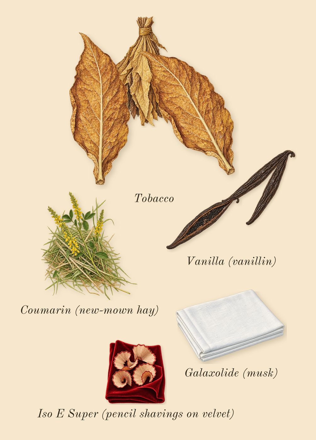 Narcotic Delight, dry-down: Vanilla (vanillin), Tobacco, Iso E Super (pencil shavings on velvet), Galaxolide (musk), Coumarin (new-mown hay)
