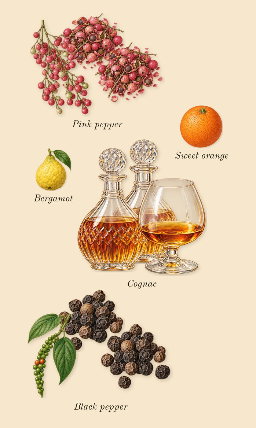 Narcotic Delight, top notes: Cognac, Black pepper, Pink pepper, Sweet orange, Bergamot