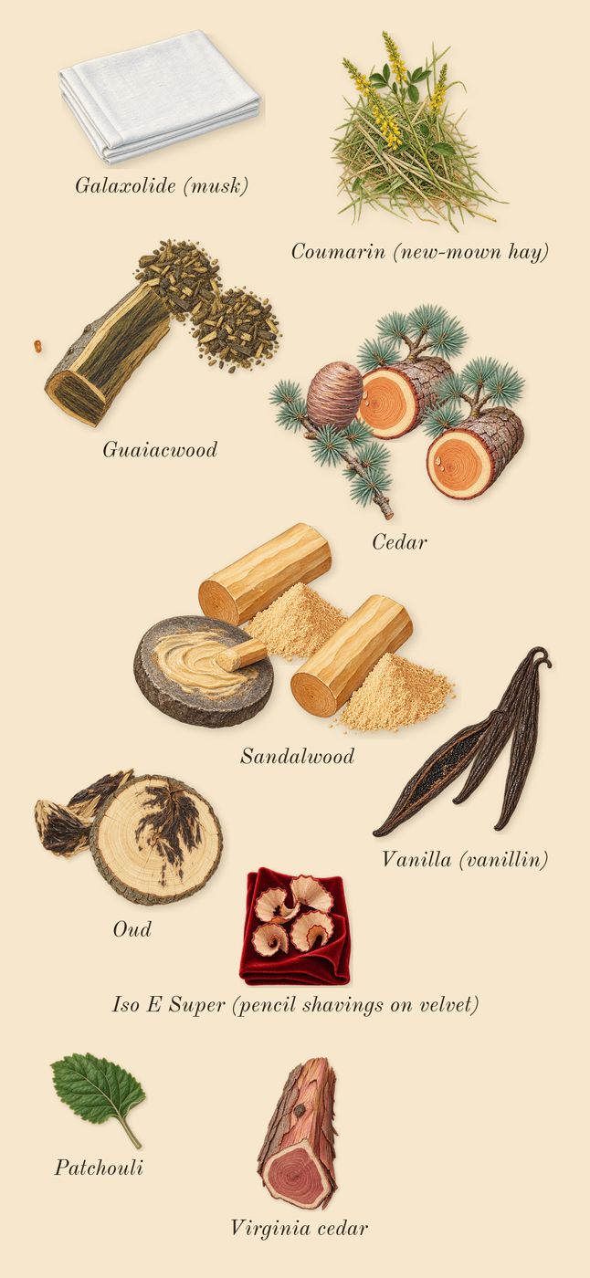 Oud for Grace, dry-down: Vanilla (vanillin), Sandalwood, Cedar, Guaiacwood, Oud, Patchouli, Virginia cedar, Iso E Super (pencil shavings on velvet), Galaxolide (musk), Coumarin (new-mown hay)