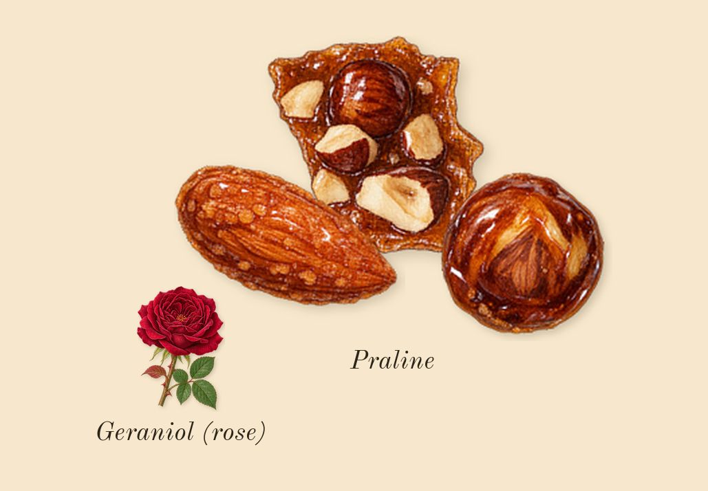Oud for Grace, heart: Praline, Geraniol (rose)