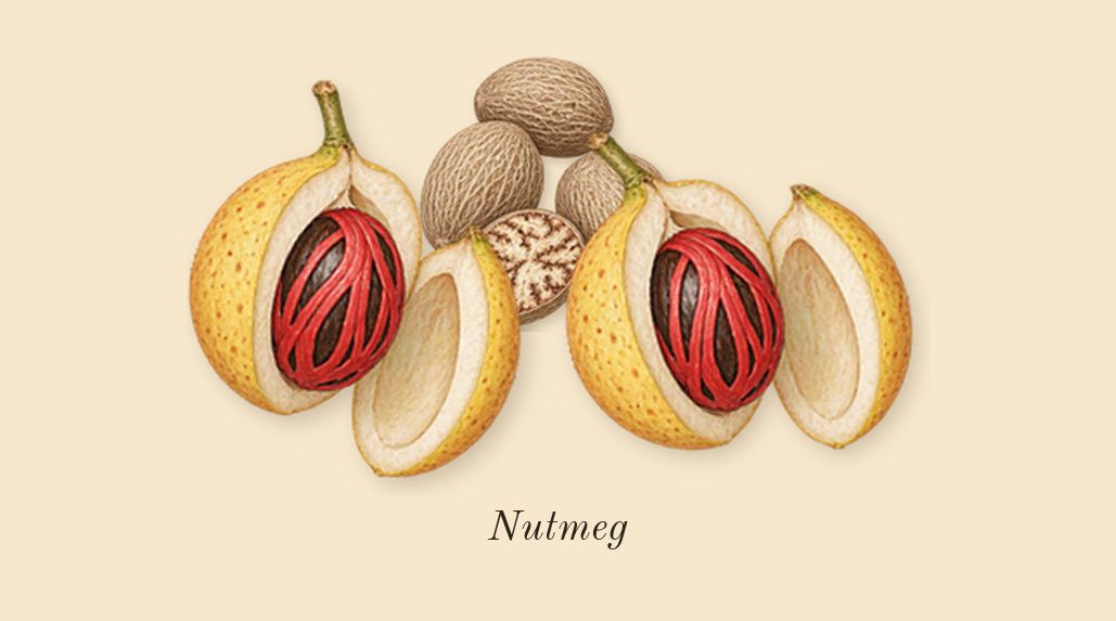 Oud for Greatness, heart: Nutmeg