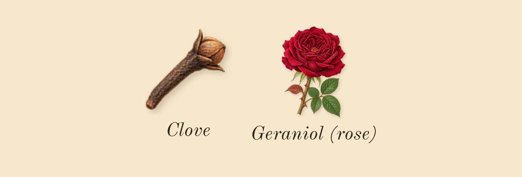 Oud for Greatness Neo, heart: Clove, Geraniol (rose)