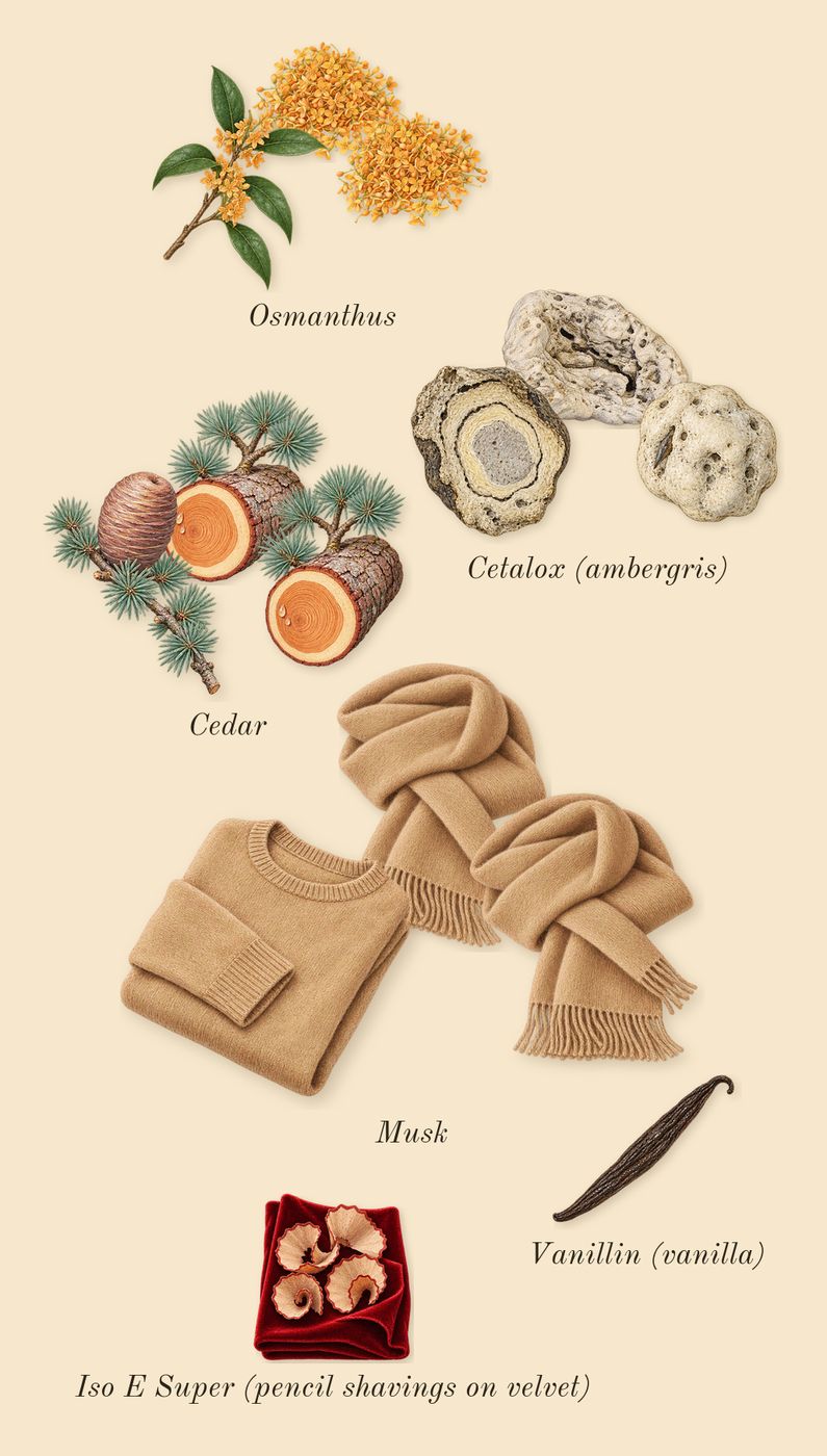 Power Self, dry-down: Osmanthus, Cetalox (ambergris), Musk, Cedar, Iso E Super (pencil shavings on velvet), Vanillin (vanilla)