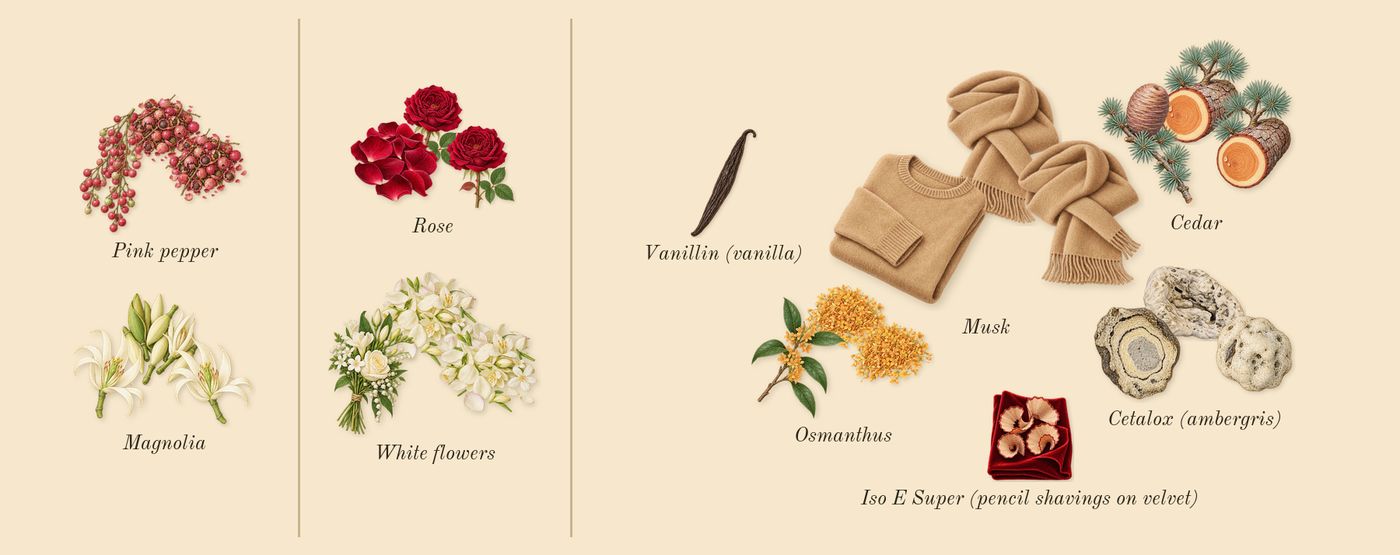 Power Self’s scent picture, a draft: white flowers, osmanthus, rose, magnolia, pink pepper, cetalox (ambergris) drawn so far; dashed outlines where nothing is drawn yet
