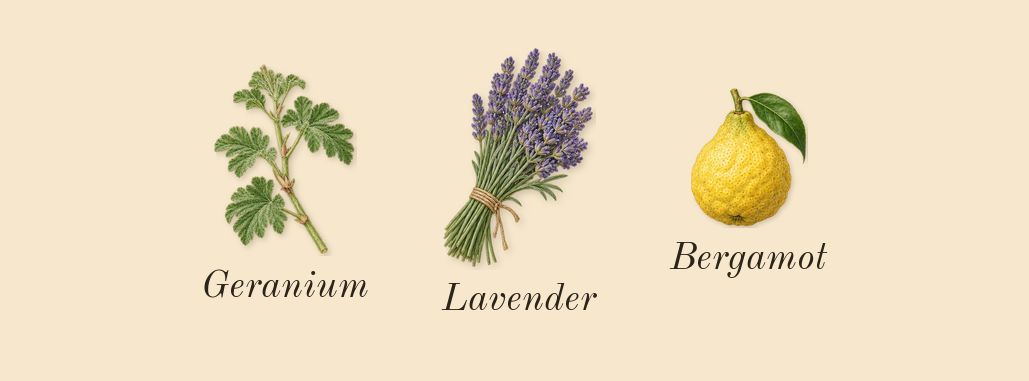 Side Effect, top notes: Bergamot, Geranium, Lavender