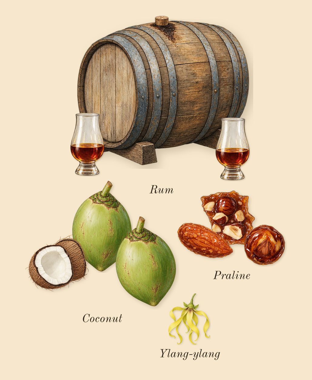 Sugar Blast, heart: Coconut, Praline, Rum, Ylang-ylang