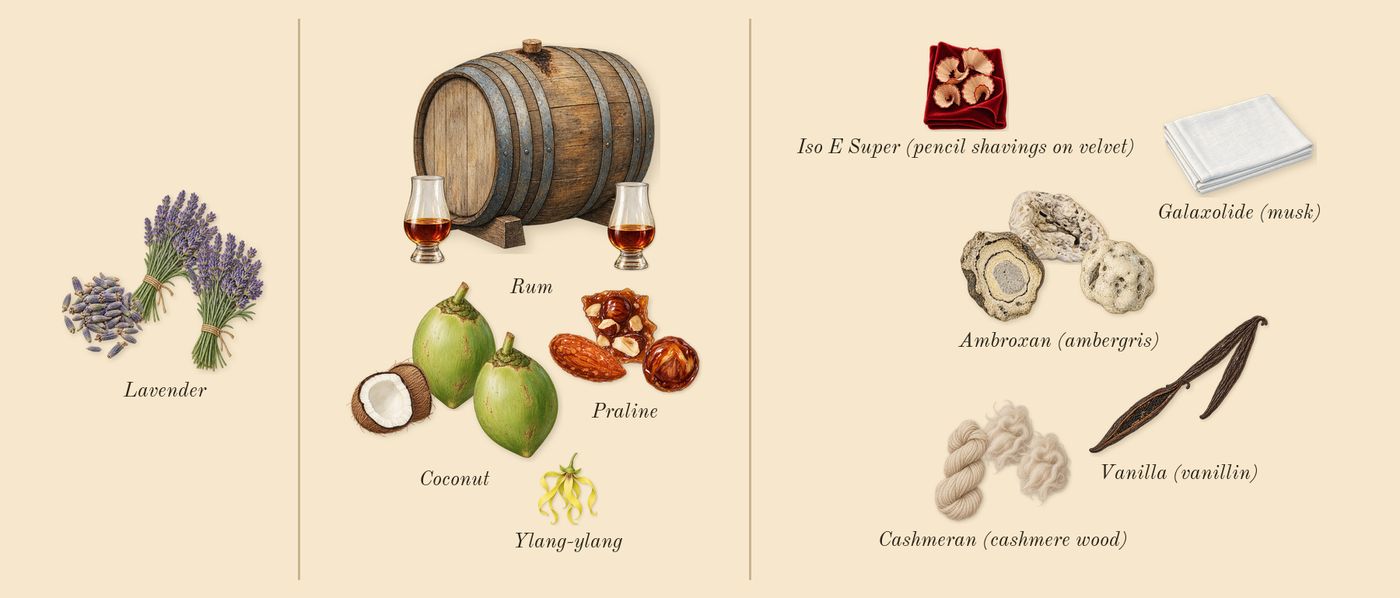 Sugar Blast’s scent picture, a draft: lavender, coconut, vanilla (vanillin), praline, rum, cashmeran (cashmere wood) drawn so far; dashed outlines where nothing is drawn yet