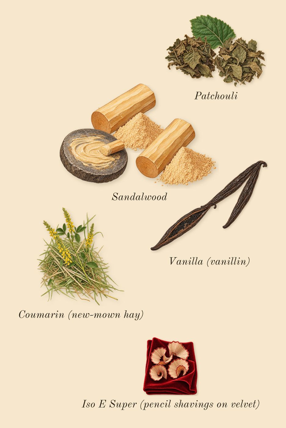 Wild Rush, dry-down: Vanilla (vanillin), Sandalwood, Patchouli, Iso E Super (pencil shavings on velvet), Coumarin (new-mown hay)