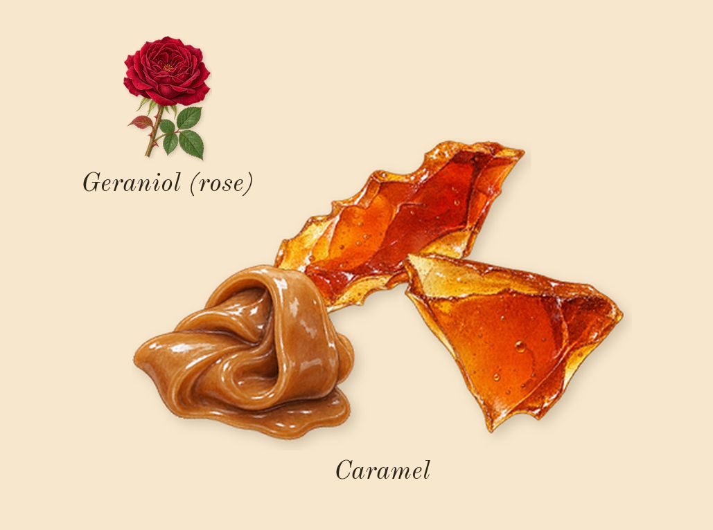 Wild Rush, heart: Caramel, Geraniol (rose)