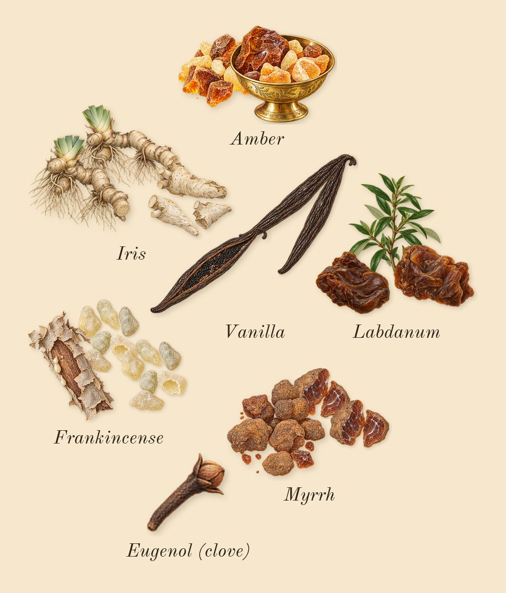 Interlude Black Iris Man, heart: Iris, Amber, Frankincense, Labdanum, Myrrh, Vanilla, Eugenol (clove)