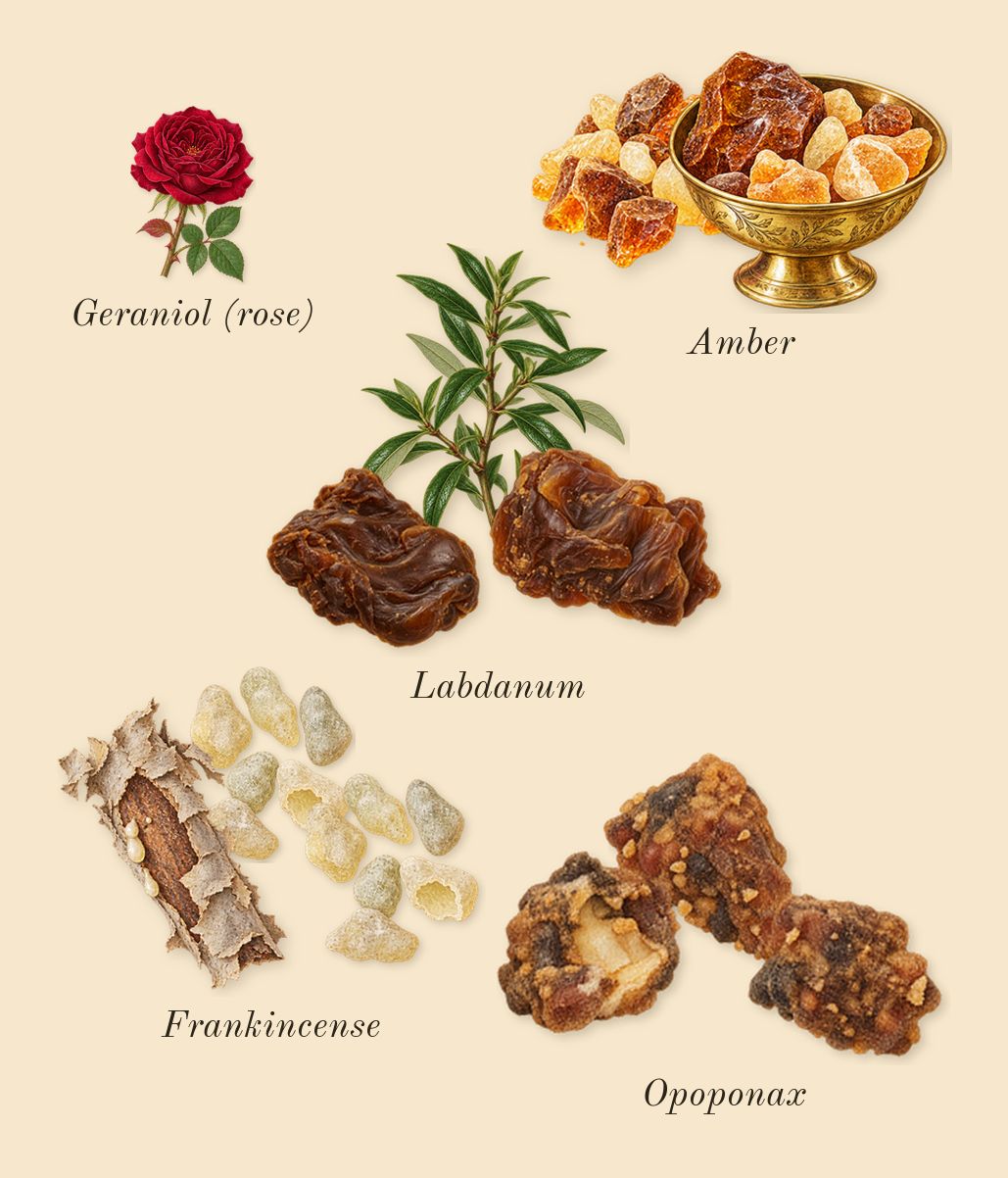 Interlude Man, heart: Amber, Frankincense, Labdanum, Opoponax, Geraniol (rose)