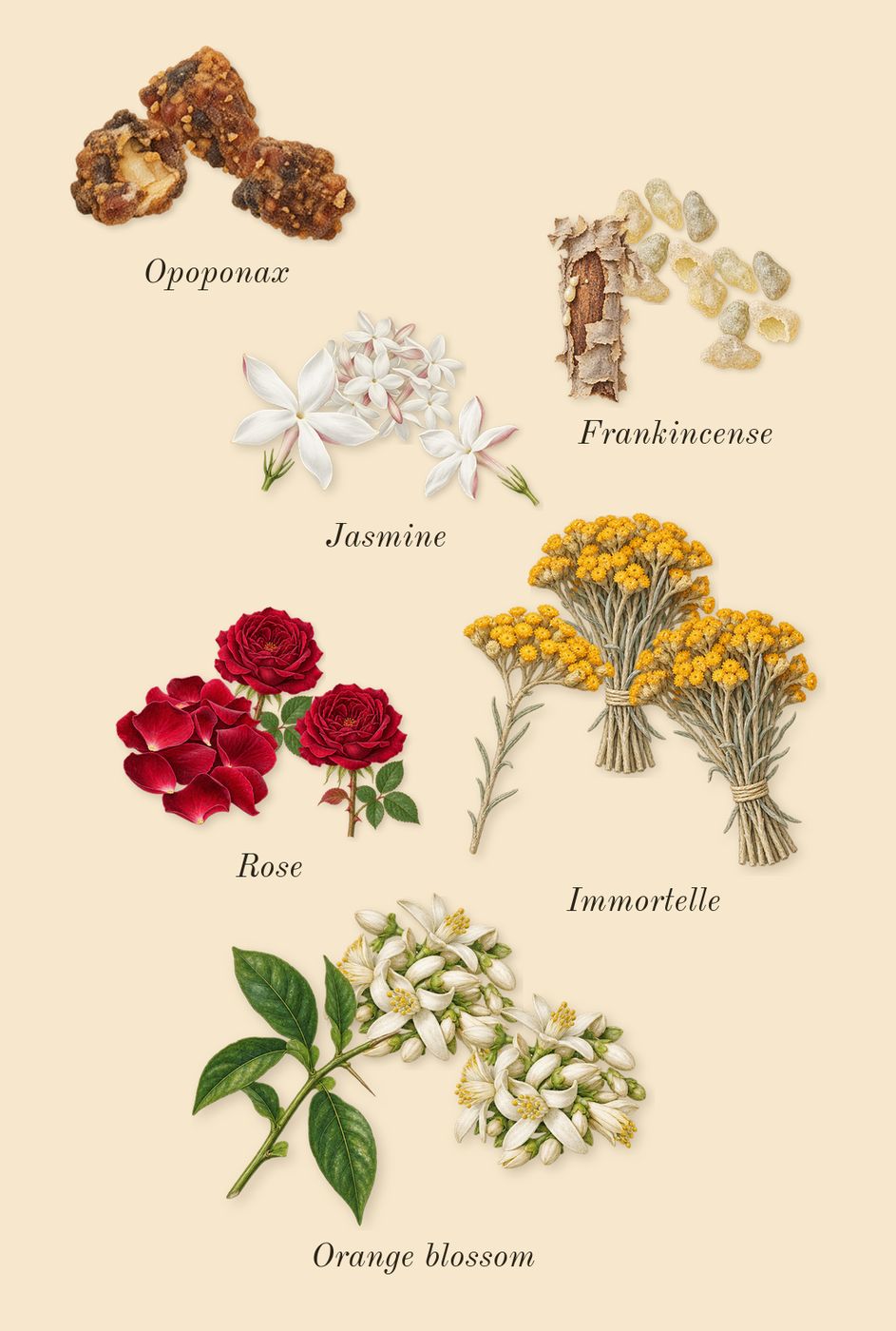 Interlude Woman, heart: Frankincense, Rose, Orange blossom, Immortelle, Jasmine, Opoponax