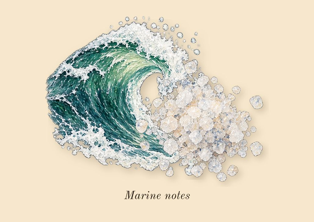 Le Sel d'Issey, heart: Marine notes